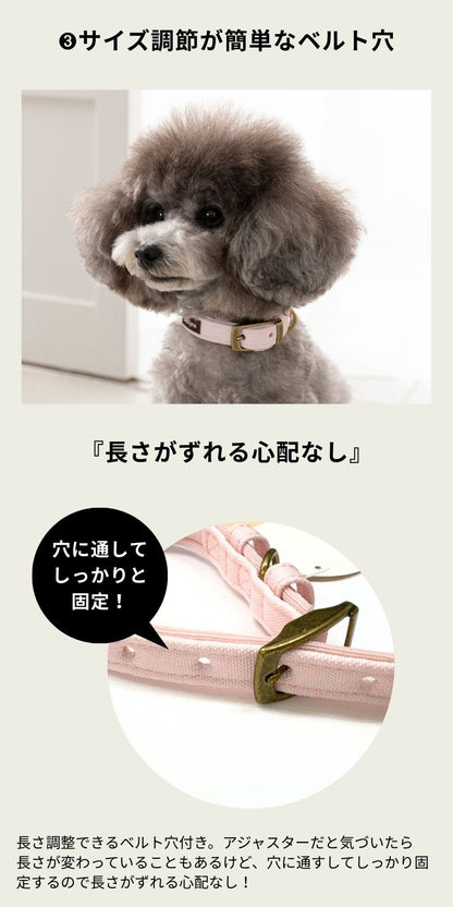ナチュラルキャンバスカラー XS/S/M/L Solgra-ソルグラ- 犬用首輪 SO25SS so259471