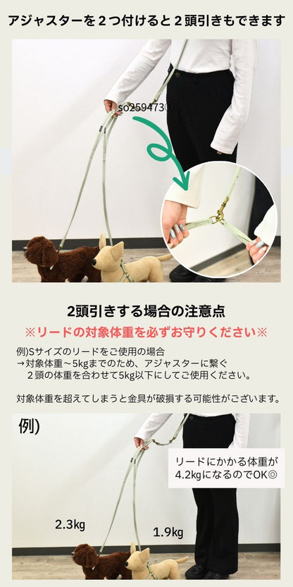 ナチュラルキャンバスリード S/M/L Solgra-ソルグラ- 犬用リード SO25SS so259473