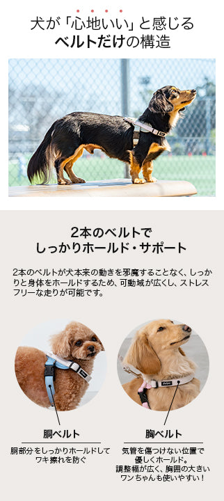 【公式通販限定】ベーシックヘッドインハーネス S/M/L Solgra-ソルグラ- 犬用 犬 ハーネス 抜けにくい 抜けない 脱げない 脱げにくい 足を通さず 簡単装着 やさしい 柔らかい おしゃれ かわいい 負担が少ない 超小型犬 小型犬 SO25SS so259593