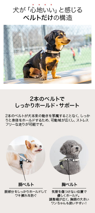 【公式通販限定】レースヘッドインハーネス S/M/L Solgra-ソルグラ- 犬用 犬 ハーネス 抜けにくい 抜けない 脱げない 脱げにくい 足を通さず 簡単装着 やさしい 柔らかい おしゃれ かわいい 負担が少ない 超小型犬 小型犬 SO25SS so259594