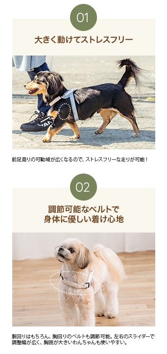 【公式通販限定】レースヘッドインハーネス S/M/L Solgra-ソルグラ- 犬用 犬 ハーネス 抜けにくい 抜けない 脱げない 脱げにくい 足を通さず 簡単装着 やさしい 柔らかい おしゃれ かわいい 負担が少ない 超小型犬 小型犬 SO25SS so259594