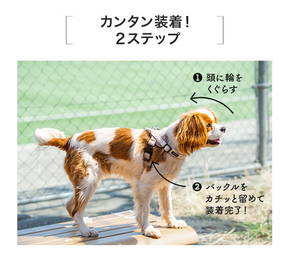 【公式通販限定】レースヘッドインハーネス S/M/L Solgra-ソルグラ- 犬用 犬 ハーネス 抜けにくい 抜けない 脱げない 脱げにくい 足を通さず 簡単装着 やさしい 柔らかい おしゃれ かわいい 負担が少ない 超小型犬 小型犬 SO25SS so259594
