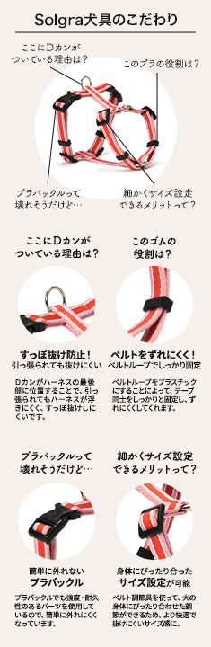 【公式通販限定】ラインハーネス S/M/L Solgra-ソルグラ- 犬用 SO25SS so259595