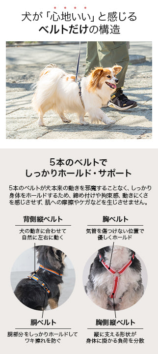 【公式通販限定】ラインハーネス S/M/L Solgra-ソルグラ- 犬用 SO25SS so259595