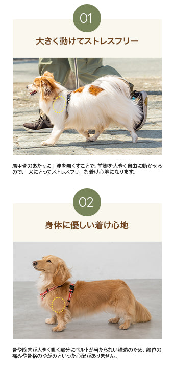 【公式通販限定】ラインハーネス S/M/L Solgra-ソルグラ- 犬用 SO25SS so259595