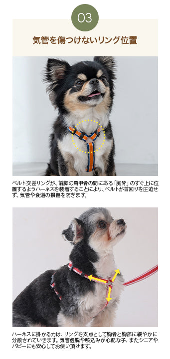 【公式通販限定】ラインハーネス S/M/L Solgra-ソルグラ- 犬用 SO25SS so259595