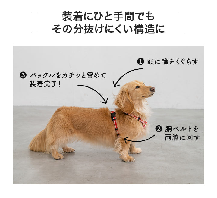 【公式通販限定】ラインハーネス S/M/L Solgra-ソルグラ- 犬用 SO25SS so259595