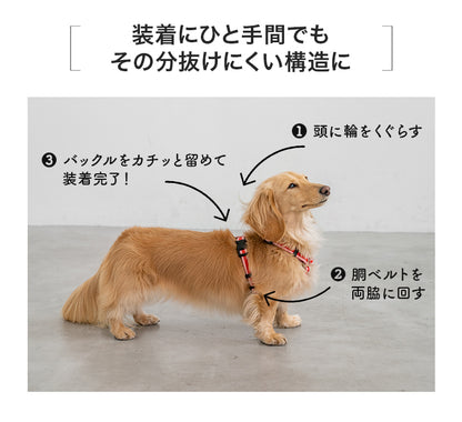 【公式通販限定】ラインハーネス S/M/L Solgra-ソルグラ- 犬用 SO25SS so259595