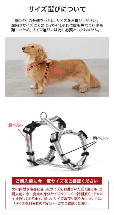 【公式通販限定】ラインハーネス S/M/L Solgra-ソルグラ- 犬用 SO25SS so259595