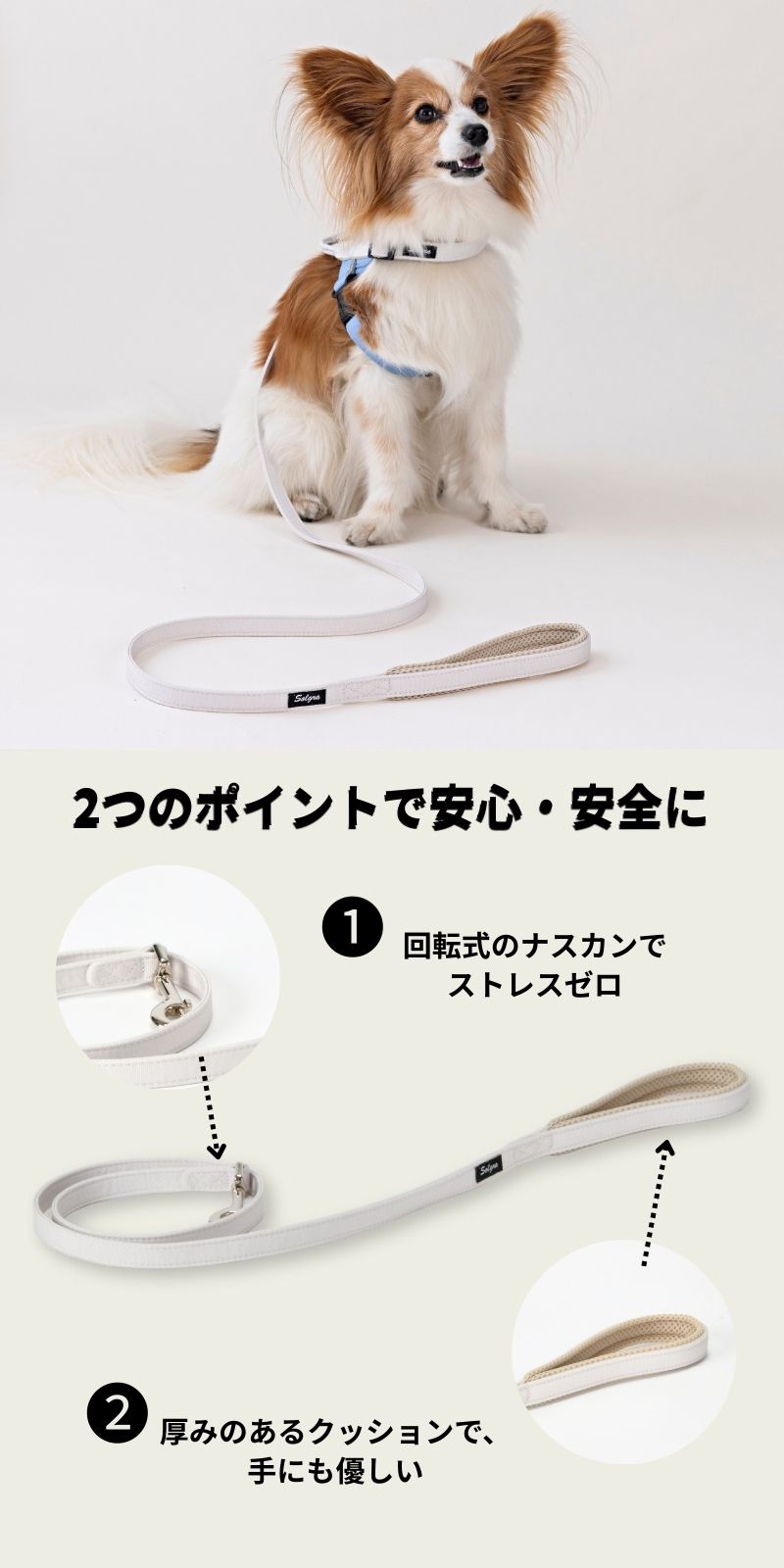 公式通販限定】ベーシックソフティリード S/M Solgra-ソルグラ- 犬用