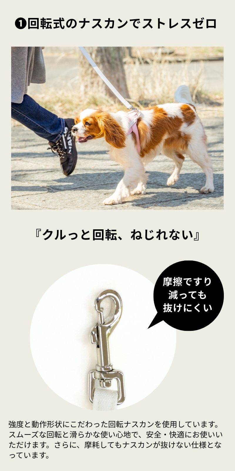 【公式通販限定】ベーシックソフティリード S/M Solgra-ソルグラ- 犬用 小型犬用 リード 犬 迷子防止 脱走防止 おしゃれ 超小型犬 小型犬 中型犬 トイプードル チワワ ダックスフンド フレンチブルドッグ 柴犬 マルチーズ お散歩 お出かけ SO25SS so259596