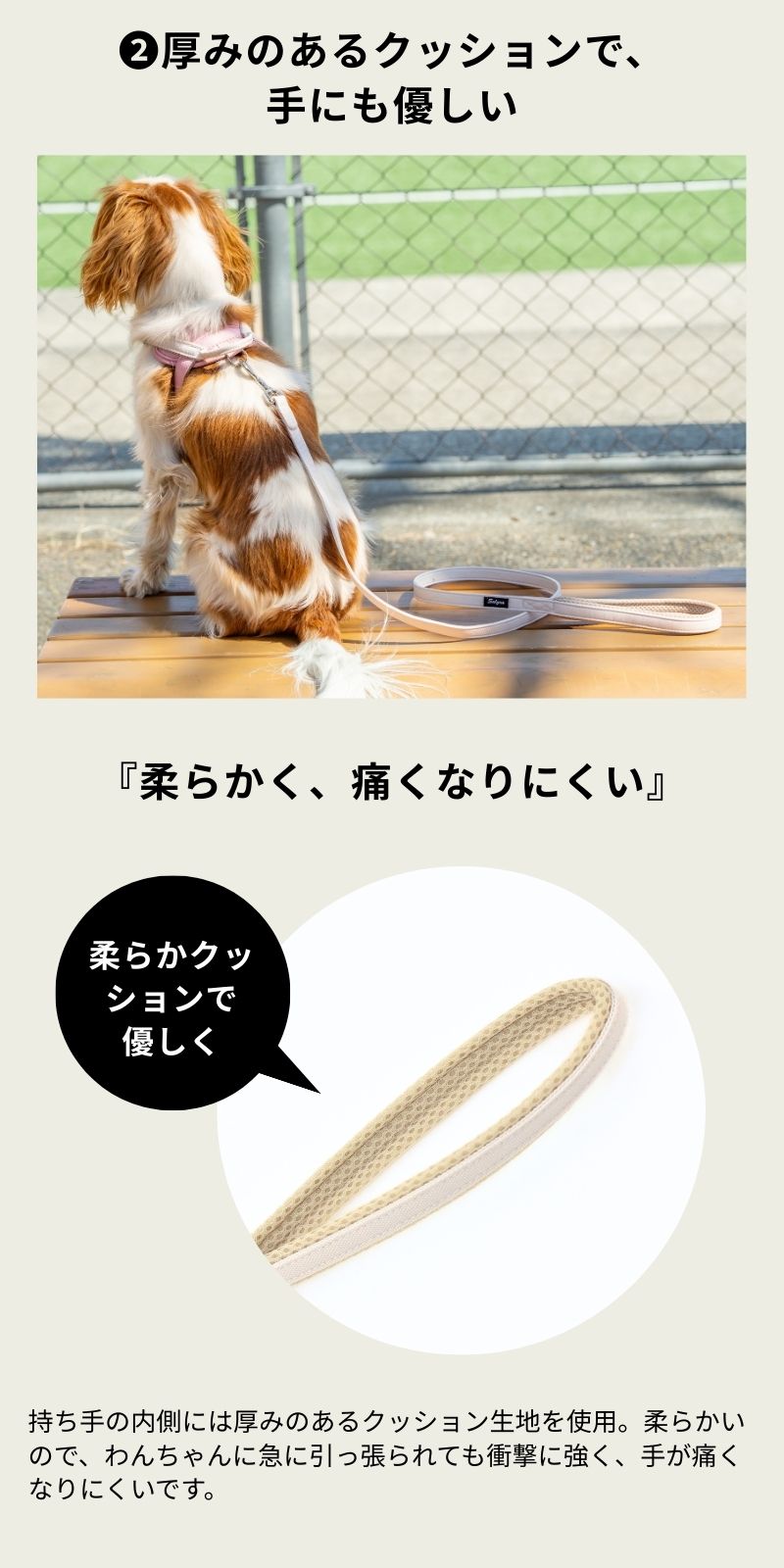 公式通販限定】ベーシックソフティリード S/M Solgra-ソルグラ- 犬用