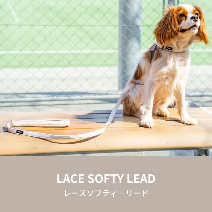 【公式通販限定】レースソフティリード S/M Solgra-ソルグラ- 犬用 小型犬用 リード 犬 迷子防止 脱走防止 おしゃれ 超小型犬 小型犬 中型犬 トイプードル チワワ ダックスフンド フレンチブルドッグ 柴犬 マルチーズ お散歩 お出かけ SO25SS so259597