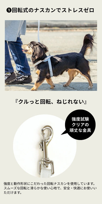 【公式通販限定】レースソフティリード S/M Solgra-ソルグラ- 犬用 小型犬用 リード 犬 迷子防止 脱走防止 おしゃれ 超小型犬 小型犬 中型犬 トイプードル チワワ ダックスフンド フレンチブルドッグ 柴犬 マルチーズ お散歩 お出かけ SO25SS so259597