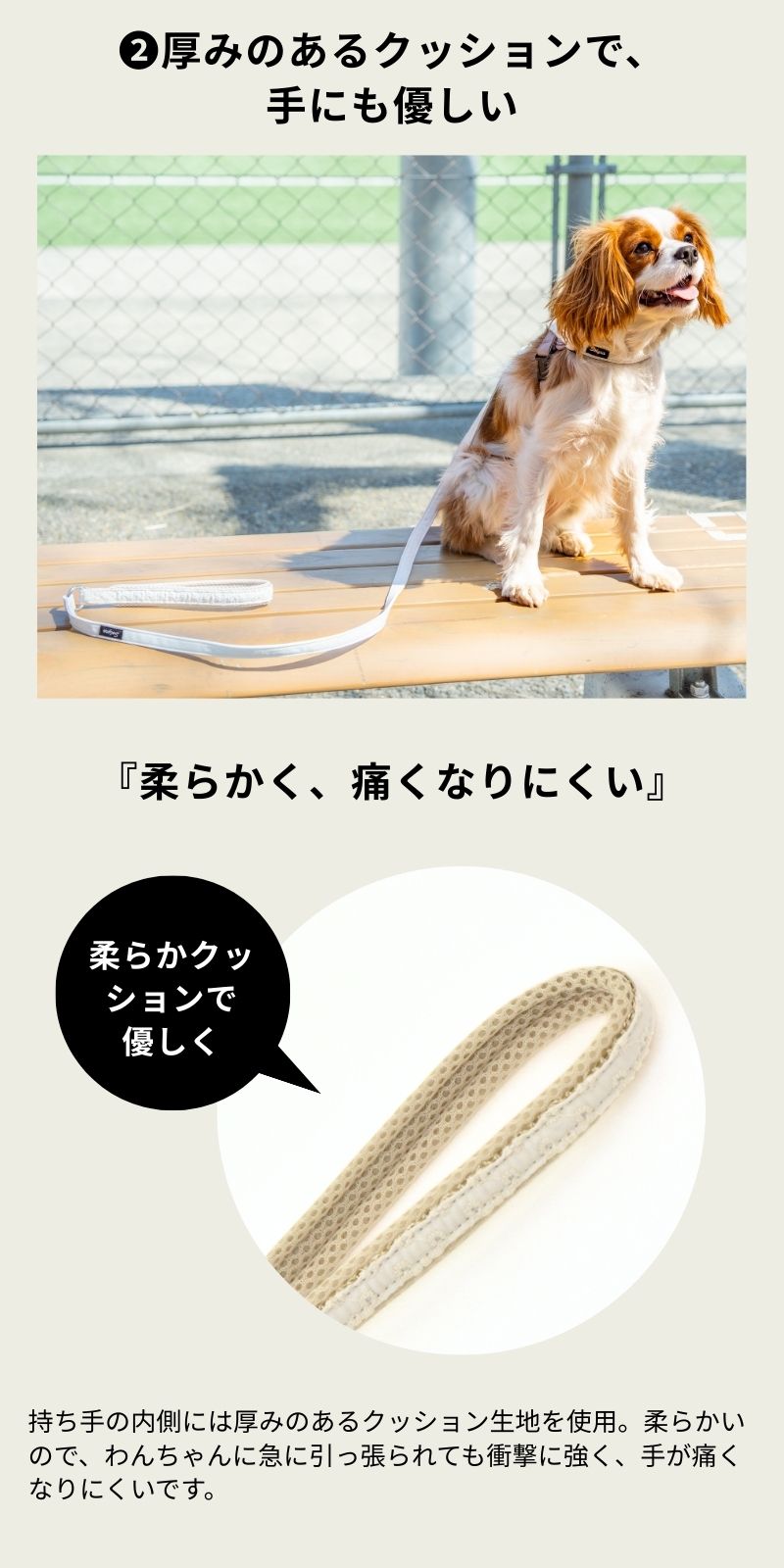 動かない犬 動かないワン」 仰向けでピタ！ おめめパッチリ 仰向けで微動だに
