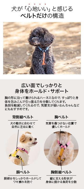 ビビットバイカラーハーネス S/M/L Solgra-ソルグラ- 犬用ハーネス