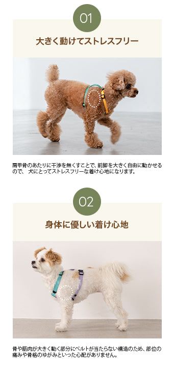 ビビットバイカラーハーネス S/M/L Solgra-ソルグラ- 犬用ハーネス SO25SS so259599