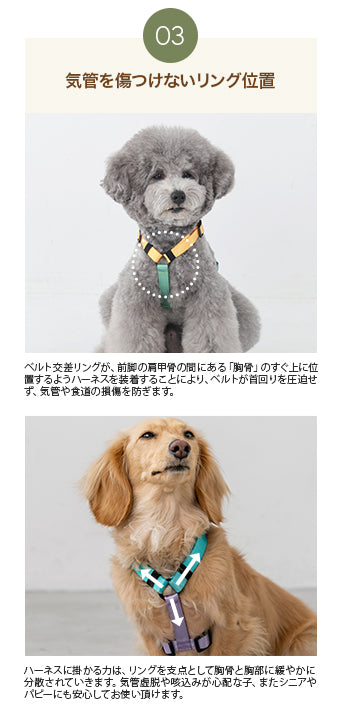 ビビットバイカラーハーネス S/M/L Solgra-ソルグラ- 犬用ハーネス SO25SS so259599