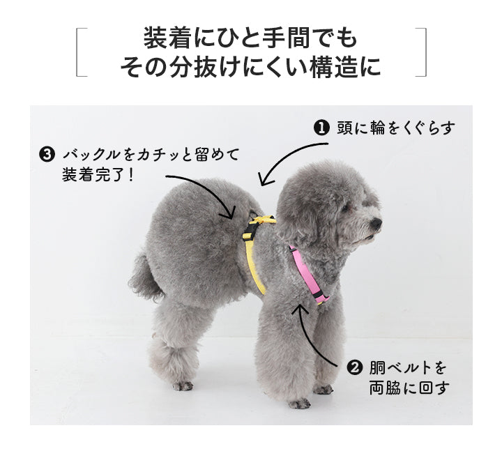 ビビットバイカラーハーネス S/M/L Solgra-ソルグラ- 犬用ハーネス