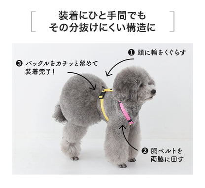 ビビットバイカラーハーネス S/M/L Solgra-ソルグラ- 犬用ハーネス SO25SS so259599