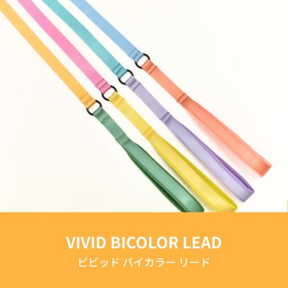 ビビットバイカラーリード S/M/L Solgra-ソルグラ- 犬用リード SO25SS so259600