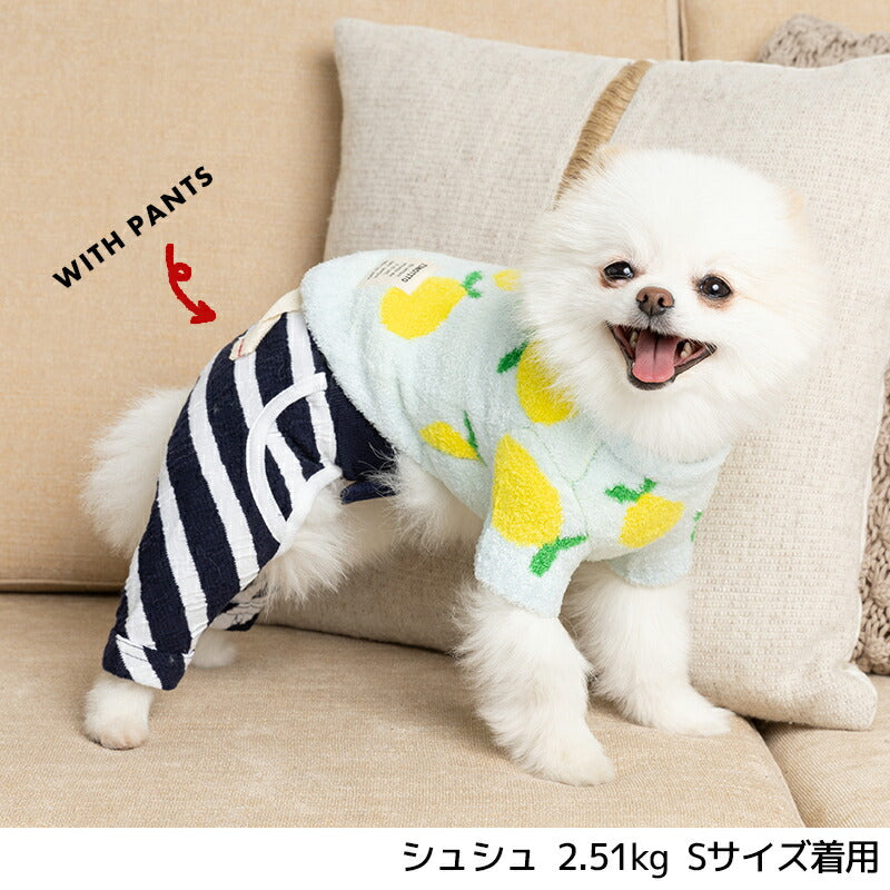 フルーツ柄マシュマロニット XS/S/M/L/XL/XXL TINOTITO -ティノティート- 犬服 ドッグウェア TT23AW tt231311-1