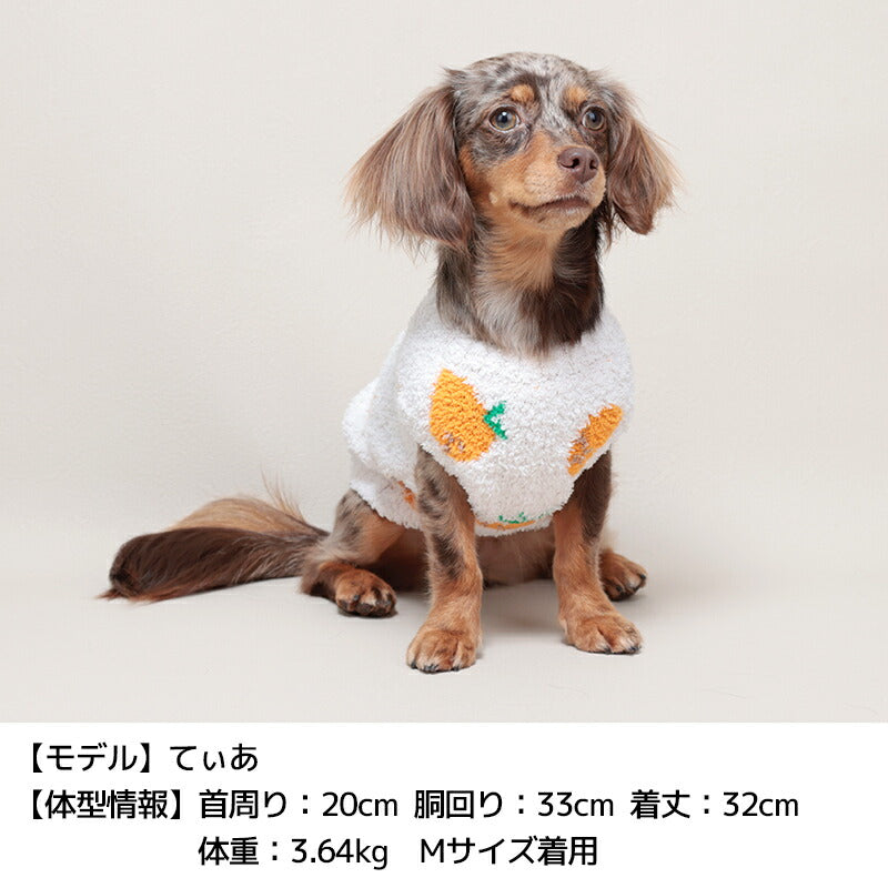 マシュマロランダム柄ニット XS/S/M/L/XL/XXL TINOTITO -ティノティート- 犬服 ドッグウェア TT24AW