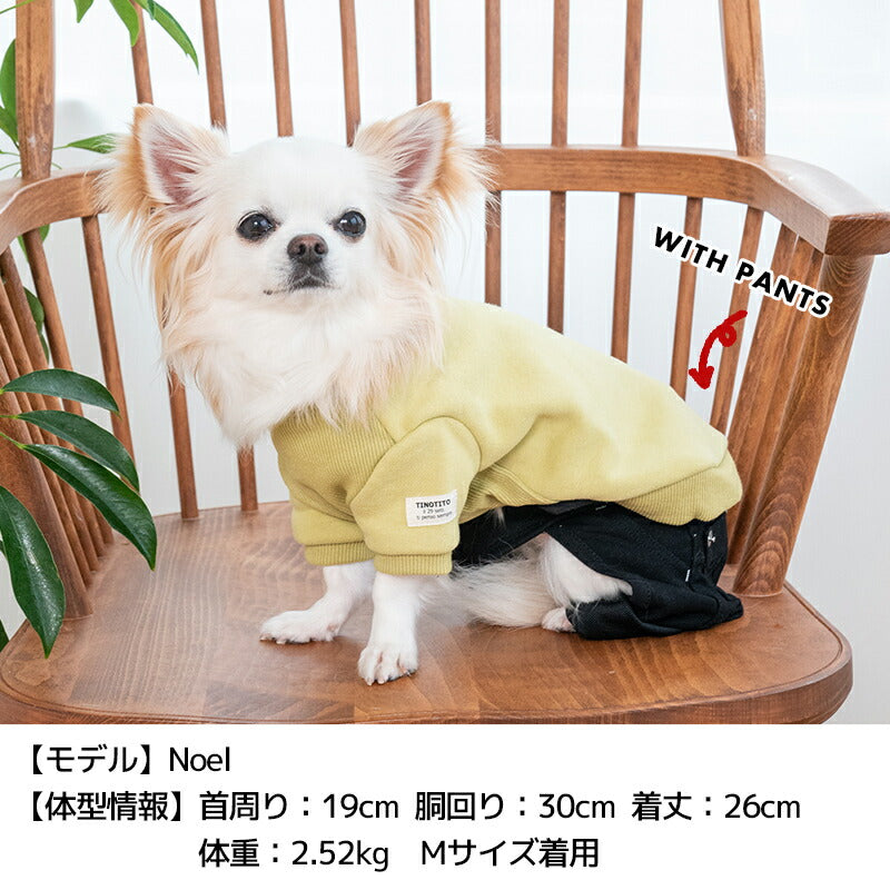 ワンポイントトレーナー XS/S/M/L/XL/XXL TINOTITO -ティノティート- 犬服 ドッグウェア TT24AW