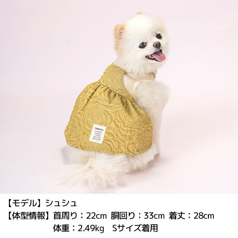 ニュアンスカラーワンピ XS/S/M/L/XL/XXL TINOTITO -ティノティート- 犬服 ドッグウェア TT24AW