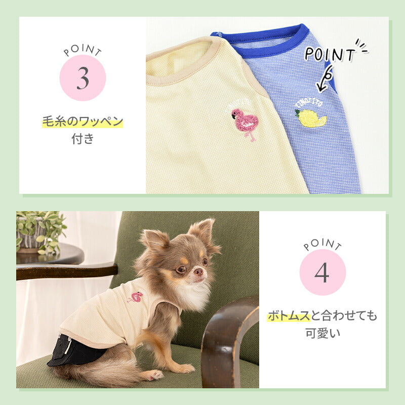 モコモコ刺しゅうタンク XS/S/M/L/XL/XXL TINOTITO -ティノティート- 犬服 ドッグウェア TT25SS tt251380