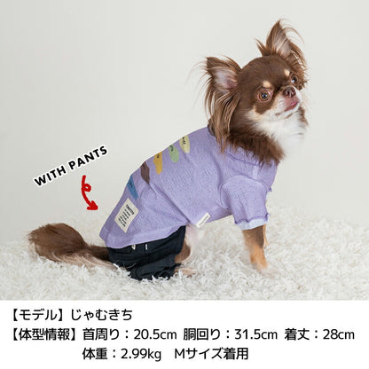 イラストTシャツ XS/S/M/L/XL/XXL TINOTITO -ティノティート- 犬服 ドッグウェア TT25SS tt251393