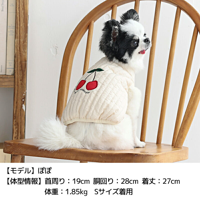 ニュアンスカラーアウター XS/S/M/L/XL/XXL TINOTITO -ティノティート- 犬服 ドッグウェア TT25AW tt251424