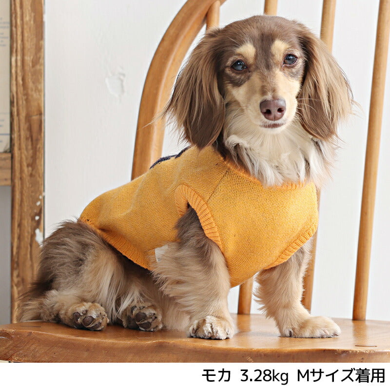 イヌヌワン TINOTITO 2024 Spring&Summer （ティノティート） – Wan-Voyage
