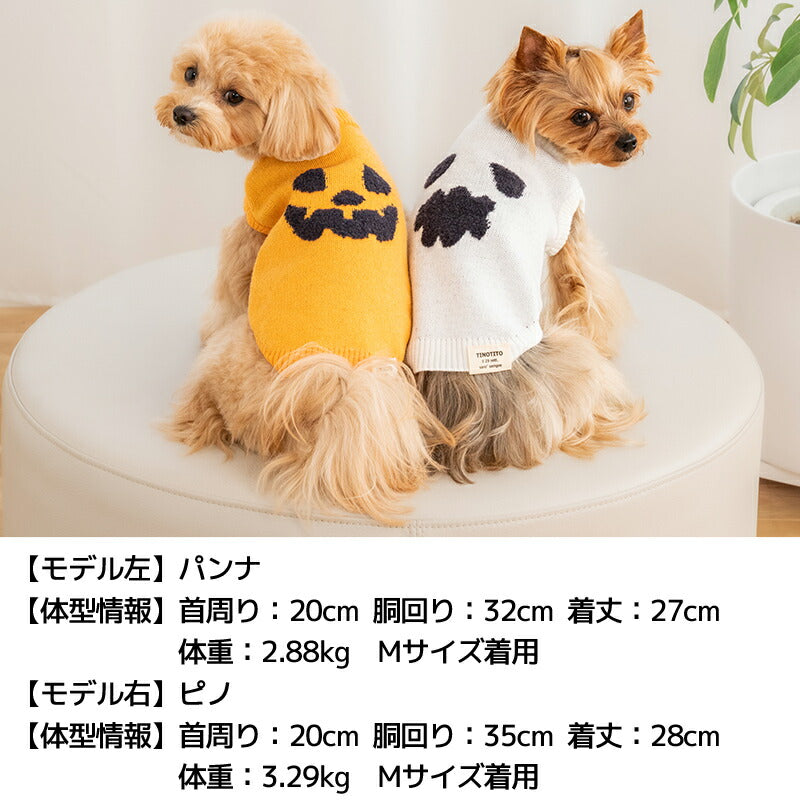 パンプキンニット XS/S/M/L/XL/XXL TINOTITO -ティノティート- 犬服 ドッグウェア TT25AW tt251428