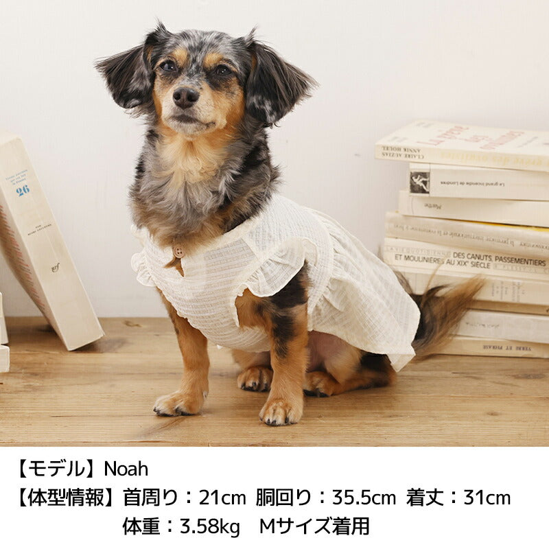 透かしフリル袖ワンピ XS/S/M/L/XL/XXL TINOTITO -ティノティート- 犬服 ドッグウェア TT26SS tt261441