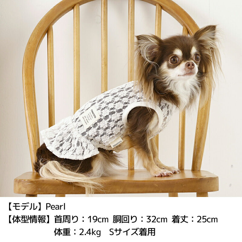透かしレースワンピ XS/S/M/L/XL/XXL TINOTITO -ティノティート- 犬服 ドッグウェア TT26SS tt261443
