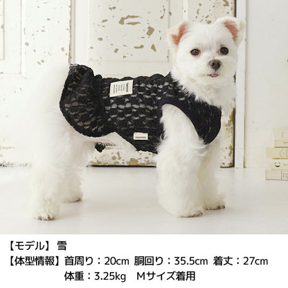 透かしレースワンピ XS/S/M/L/XL/XXL TINOTITO -ティノティート- 犬服 ドッグウェア TT26SS tt261443