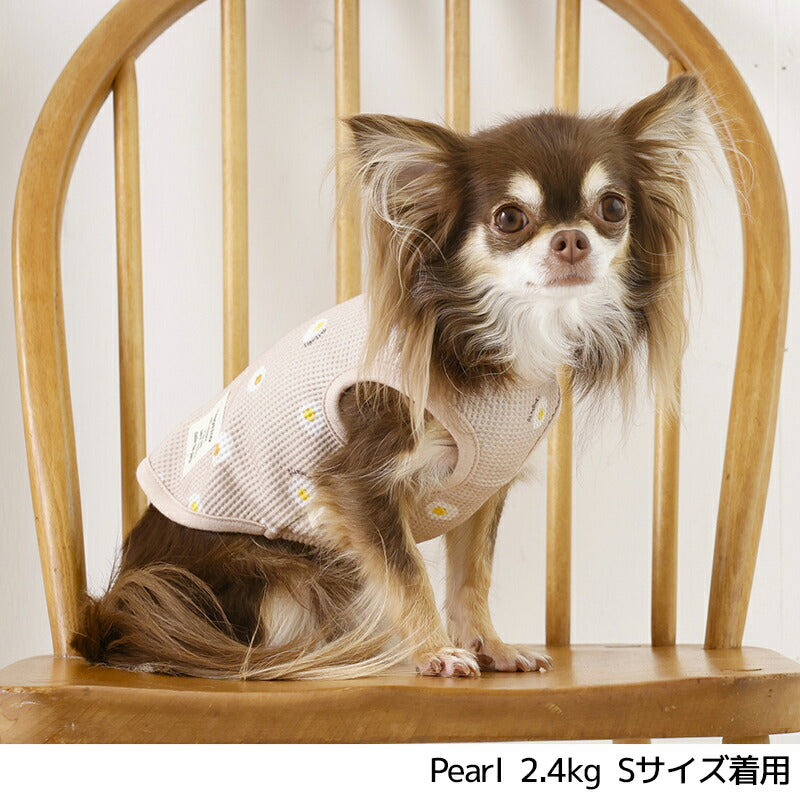 目玉焼きワッフルタンク XS/S/M/L/XL/XXL TINOTITO -ティノティート- 犬服 ドッグウェア TT26SS tt261445