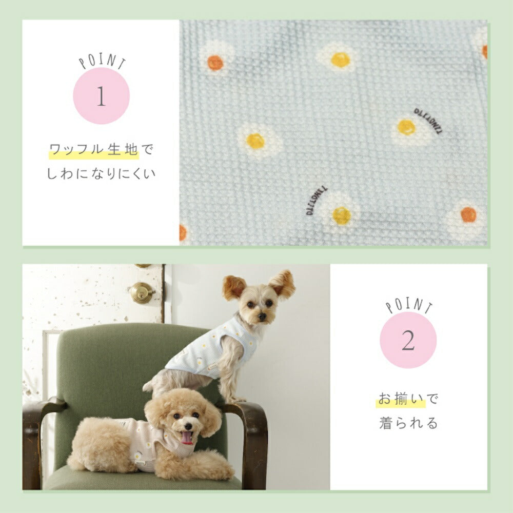 目玉焼きワッフルタンク XS/S/M/L/XL/XXL TINOTITO -ティノティート- 犬服 ドッグウェア TT26SS tt261445