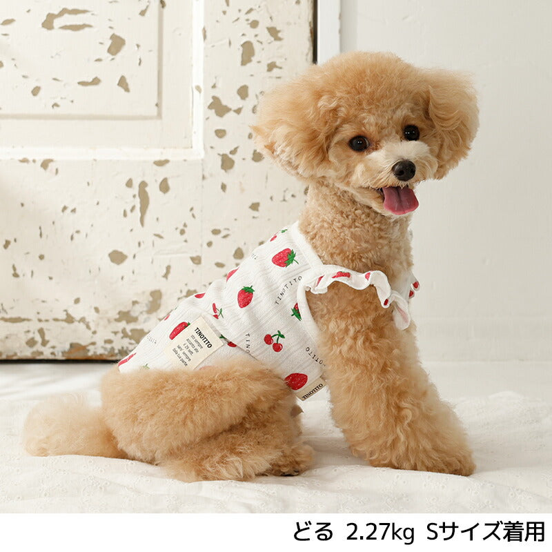 肩フリルいちごキャミ XS/S/M/L/XL/XXL TINOTITO -ティノティート- 犬服 ドッグウェア TT26SS tt261446