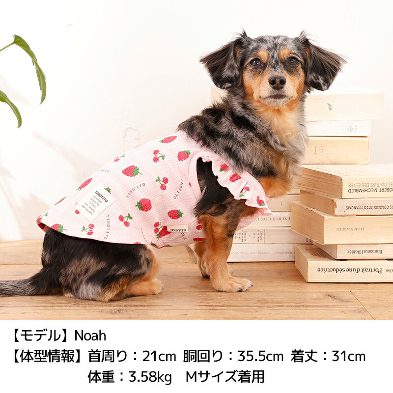 肩フリルいちごキャミ XS/S/M/L/XL/XXL TINOTITO -ティノティート- 犬服 ドッグウェア TT26SS tt261446