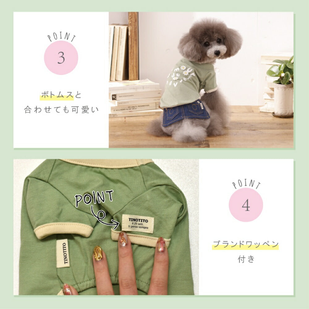 小花アップリケTシャツ XS/S/M/L/XL/XXL TINOTITO -ティノティート- 犬服 ドッグウェア TT26SS tt261449