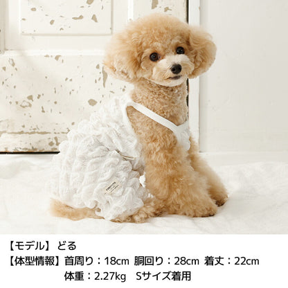 ポコポコオールインワン XS/S/M/L/XL/XXL TINOTITO -ティノティート- 犬服 ドッグウェア TT26SS tt261450