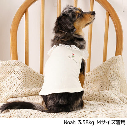 ネックフリルリブタンク XS/S/M/L/XL/XXL TINOTITO -ティノティート- 犬服 ドッグウェア TT26SS tt261453