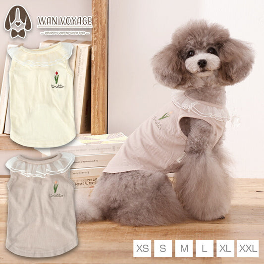 ネックフリルリブタンク XS/S/M/L/XL/XXL TINOTITO -ティノティート- 犬服 ドッグウェア TT26SS tt261453