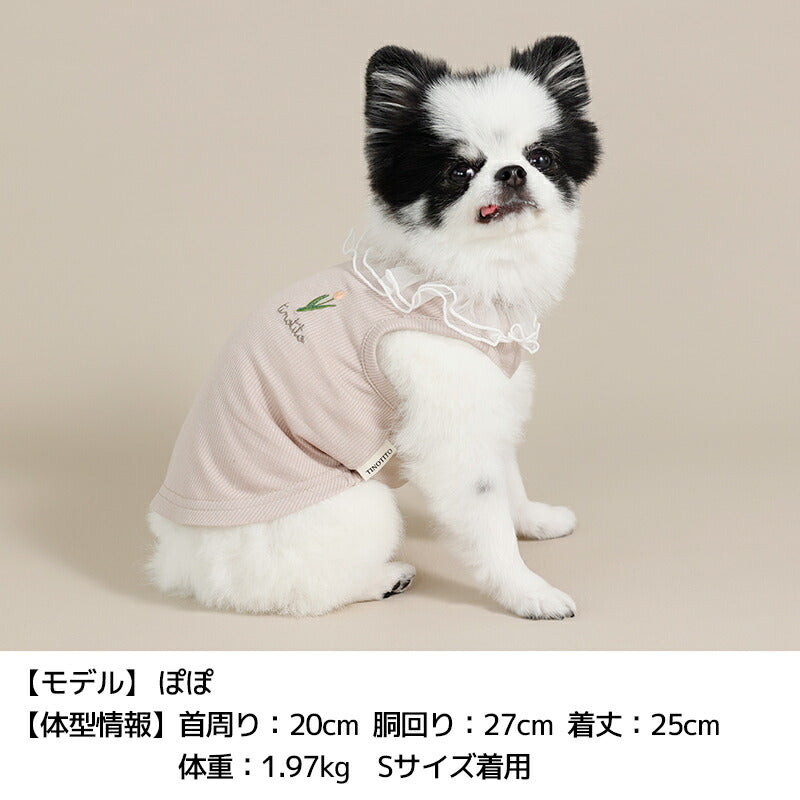 ネックフリルリブタンク XS/S/M/L/XL/XXL TINOTITO -ティノティート- 犬服 ドッグウェア TT26SS tt261453
