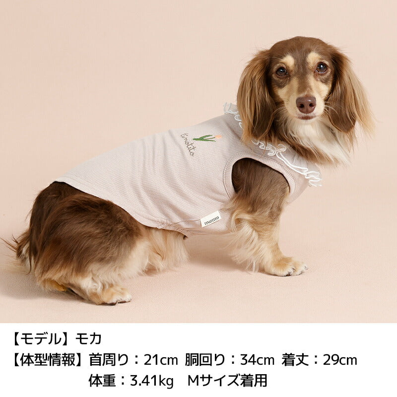 ネックフリルリブタンク XS/S/M/L/XL/XXL TINOTITO -ティノティート- 犬服 ドッグウェア TT26SS tt261453