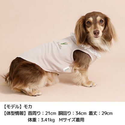 ネックフリルリブタンク XS/S/M/L/XL/XXL TINOTITO -ティノティート- 犬服 ドッグウェア TT26SS tt261453