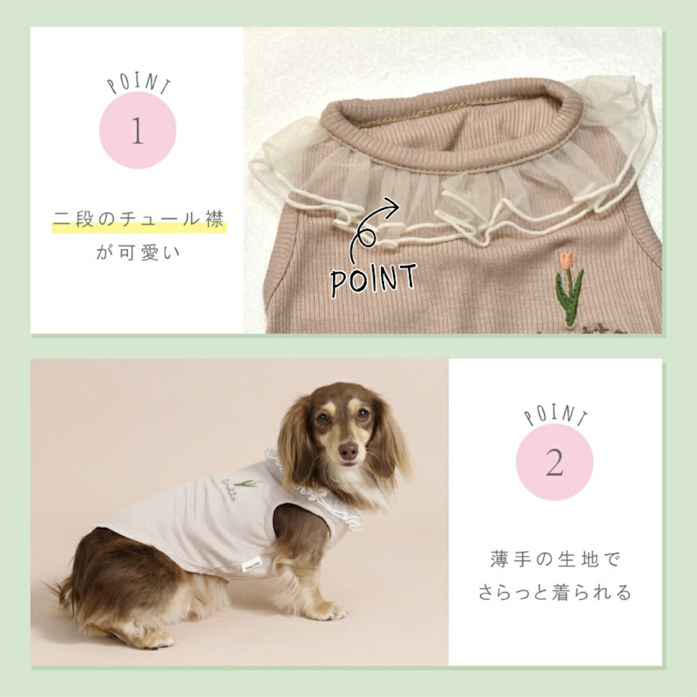 ネックフリルリブタンク XS/S/M/L/XL/XXL TINOTITO -ティノティート- 犬服 ドッグウェア TT26SS tt261453