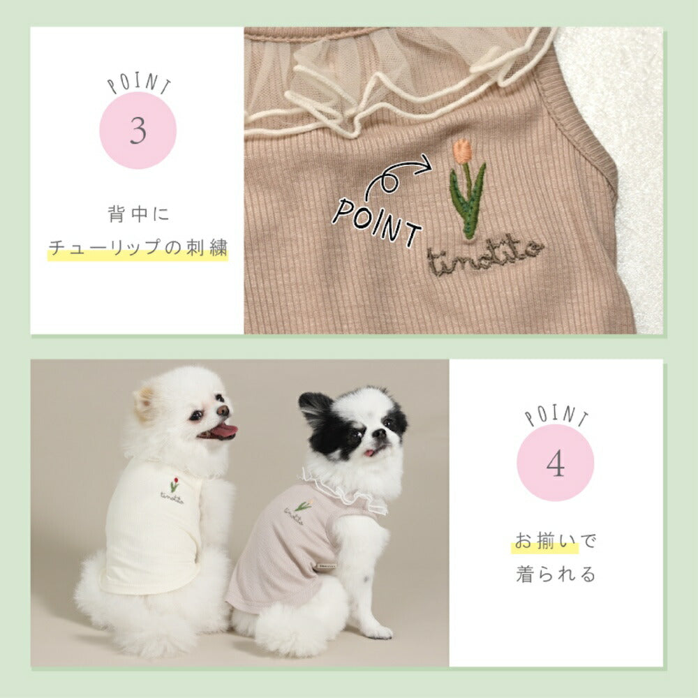ネックフリルリブタンク XS/S/M/L/XL/XXL TINOTITO -ティノティート- 犬服 ドッグウェア TT26SS tt261453